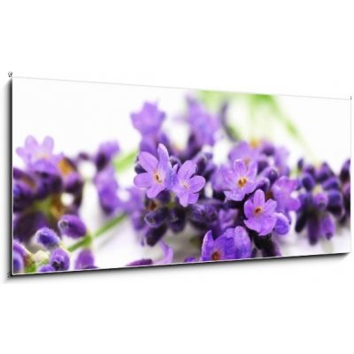 Obraz 1D panorama - 120 x 50 cm - Aroma, Lavendel Aroma, levandule – Zbozi.Blesk.cz