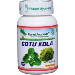 Planet Ayurveda Gotu Kola extrakt 500 mg 60 kapslí – Hledejceny.cz