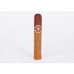 Joya de Nicaragua Cabinetta Robusto – Zboží Mobilmania