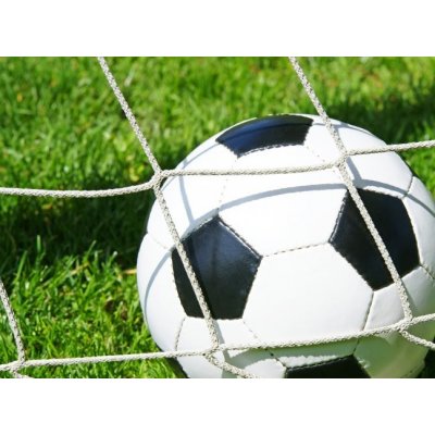 WEBLUX 22690758 Fototapeta vliesová Fu ball Tor / Soccer Goal Fu koule Tor / fotbalový gól rozměry 270 x 200 cm – Zboží Mobilmania