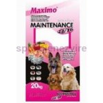 Delikan Dog MAXIMO Maintenance 20 kg – Zbozi.Blesk.cz
