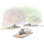 Bros past na myši dřevěná 1 ks 066 – Zboží Dáma