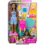Barbie DreamHouse Adventure kempující Brooklyn – Hledejceny.cz