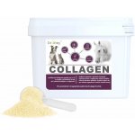 Dromy Collagen 2500 g – Hledejceny.cz
