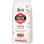 Brit Fresh Beef with Pumpkin Puppy Large 12 kg – Zbozi.Blesk.cz