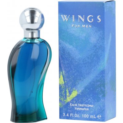 Giorgio Beverly Hills Wings toaletní voda pánská 100 ml – Zbozi.Blesk.cz