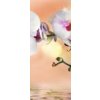 Tapety WEBLUX Samolepka na dveře fólie - 74704907 orchidea cíl horizontal rozměry 90 x 220 cm