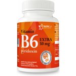 Nutricius Vitamín B6 EXTRA pyridoxin 50 mg 60 tablet – Hledejceny.cz