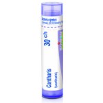 CANTHARIS POR 30CH GRA 1X4G – Hledejceny.cz