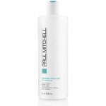 Paul Mitchell Moisture Instant Moisture Daily Treatment 1000 ml – Sleviste.cz