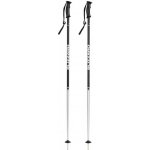 Blizzard Sport Ski Poles 2020/21 – Zbozi.Blesk.cz