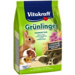 Vitakraft Greenies Rabbit 50 g – Zboží Dáma