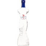 Kamasutra Oriental Vodka 40% 0,5 l (holá láhev) – Hledejceny.cz