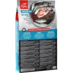 Orijen 6 Fish 11,4 kg – Sleviste.cz