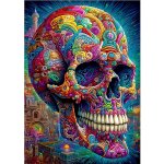 ENJOY Podivná lebka 1000 dílků – Zboží Mobilmania