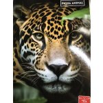 Pigna Školní sešit Animal A5 linkovaný – Zboží Mobilmania