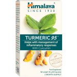 Himalaya Herbals Organic Tumeric 95 BIO 60 kapslí – Hledejceny.cz