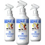 Immortal NYC Stay Blessed 05 Extrait de Cologne For Special Barbers kolínská ve spreji 500 ml – Hledejceny.cz