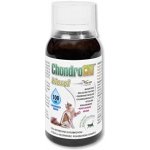 Orling Chondrocat Biosol 0,1 l – Zboží Dáma