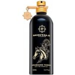 Montale Paris Arabians Tonka parfémovaná voda unisex 100 ml – Hledejceny.cz