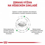Royal Canin Veterinary Diet Cat Diabetic 1,5 kg – Zbozi.Blesk.cz