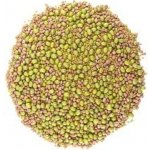 ZdravýDen Směs semen na klíčení 1 alfalfa ředkvička mungo 200 g – Zbozi.Blesk.cz