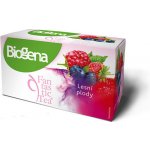 Biogena Fantastic Lesní plody 20 x 2.2 g – Hledejceny.cz