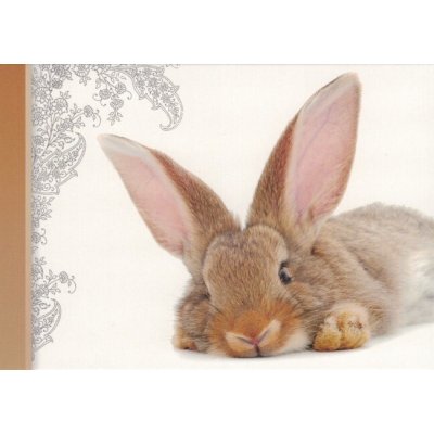 Pohlednice Králíček – Zboží Dáma