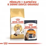 Royal Canin Ragdoll Adult 10 kg – Zboží Dáma