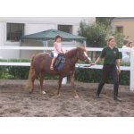 Poníci – Hledejceny.cz