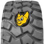 Triangle TB-598 TB598 750/65 R25 E3