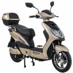 Racceway E-Fichtl 250W 12Ah zlatá – Zbozi.Blesk.cz