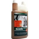 Dromy BOSWELLIA Serrata liq. 1000 ml