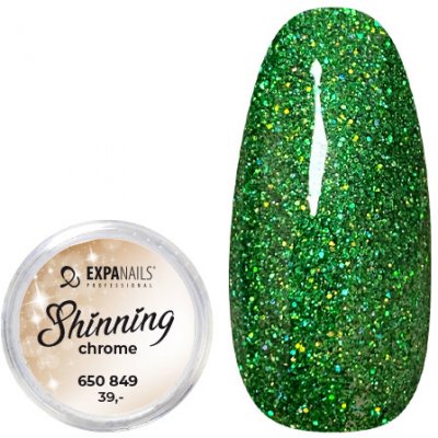 Expa nails třpytky na zdobení nehtů shining chrome glitter 9 2 g – Zboží Mobilmania