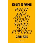 Too Late to Awaken – Hledejceny.cz