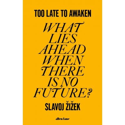Too Late to Awaken – Hledejceny.cz