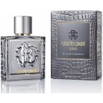 Roberto Cavalli Uomo Silver Essence toaletní voda pánská 100 ml – Hledejceny.cz