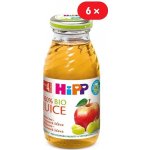 HiPP BIO Jablečno-hroznová 6 x 200 ml – Zboží Dáma