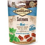 Carnilove Cat Crunchy Snack Salmon with Mint 50 g – Hledejceny.cz