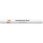 Oily Skin Anti-blemish Stick 15 ml – Zboží Dáma