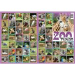 Deny Pexeso ZOO – Sleviste.cz