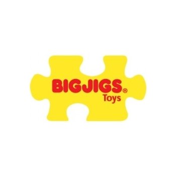 Bigjigs Toys Bigjigs Toys Prolézací provazový žebřík