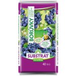 Nohel garden Substrát Forestina Standard pro borůvky 40 l – Hledejceny.cz
