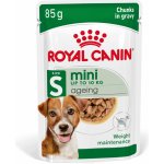 Royal Canin Mini Ageing 12+ 12 x 85 g – Zboží Mobilmania
