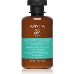Apivita Oily Roots Dry Ends šampon 250 ml – Zboží Mobilmania