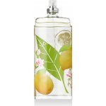 Elizabeth Arden Green Tea Honeysuckle toaletní voda dámská 100 ml – Hledejceny.cz