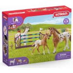 Schleich 42433 Set appalosští koně a tréninkové příslušenstí – Zbozi.Blesk.cz