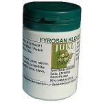 Jukl Fyrosan klouby 90 tablet – Hledejceny.cz