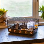 Ferplast Criceti 9 Pirate Klec pro křečky White 46 x 29,5 x 23 cm – Hledejceny.cz