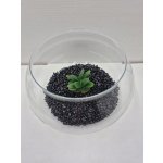 Agro Elipsa 28 x 28 x 17 cm, 7 l – Hledejceny.cz